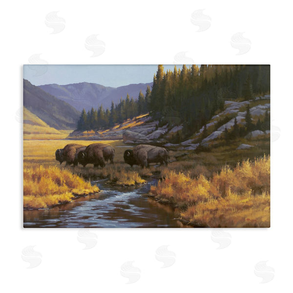 stupell industries Paco Young | Bison Trailing Serene Stream