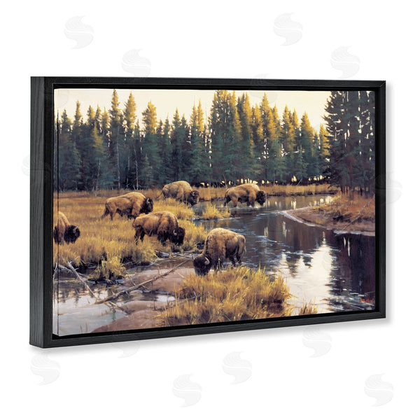 Stupell Industries Paco Young | Grazing Bison Along Riverbank