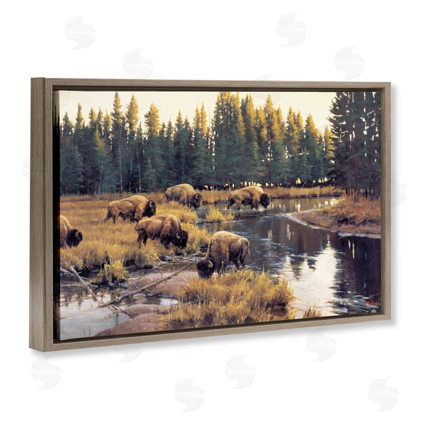 Stupell Industries Paco Young | Grazing Bison Along Riverbank