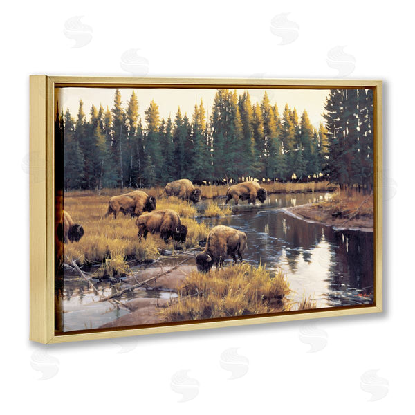 Stupell Industries Paco Young | Grazing Bison Along Riverbank