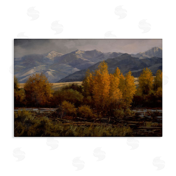 stupell industries Paco Young | Morning In Montana Mountains