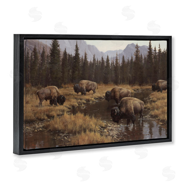 Stupell Industries Paco Young | Wild Bison Grazing At Stream