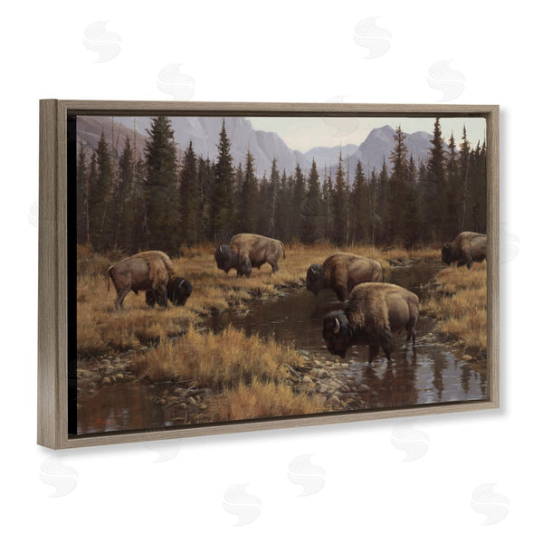 Stupell Industries Paco Young | Wild Bison Grazing At Stream