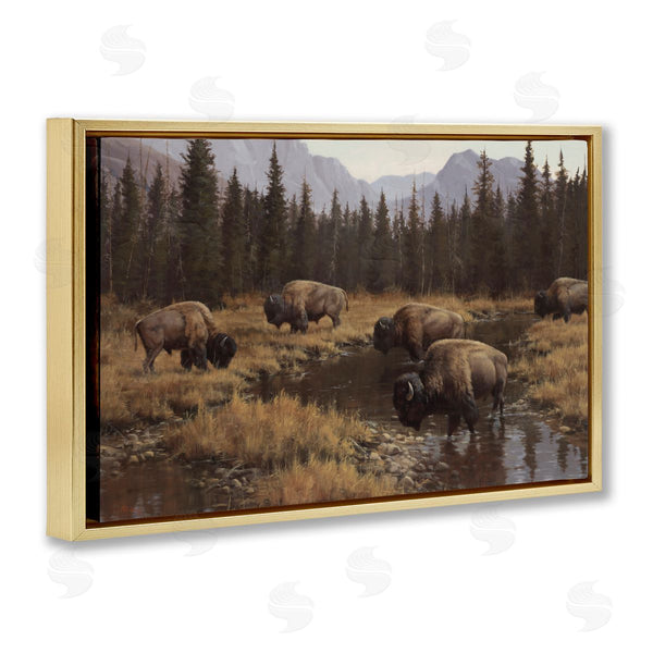 Stupell Industries Paco Young | Wild Bison Grazing At Stream