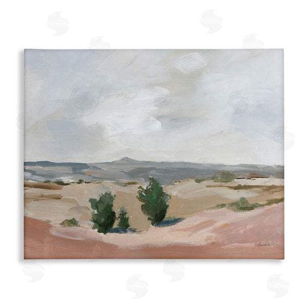 stupell industries Pamela Munger | Vast Desert Mountains
