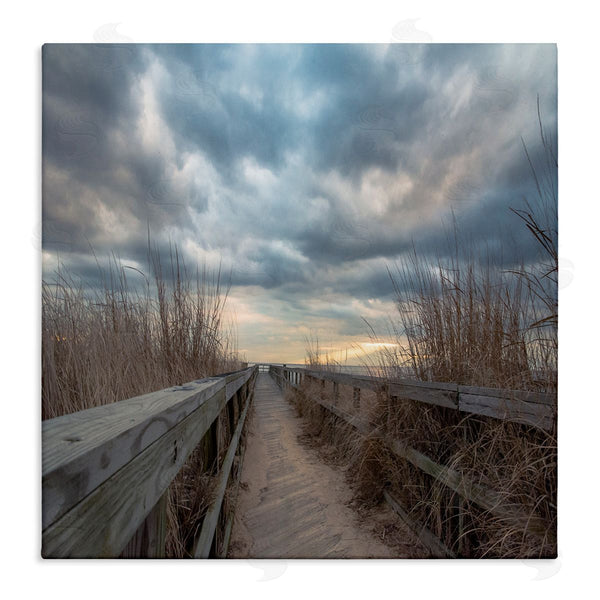 stupell industries Pat DeLuca | Cloudy Coastal Boardwalk View Wall Art