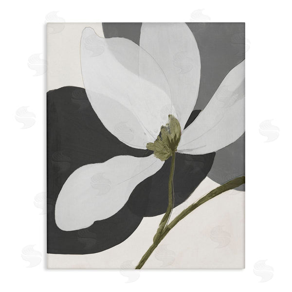 stupell industries Patricia Pinto | Abstract Floral Shape