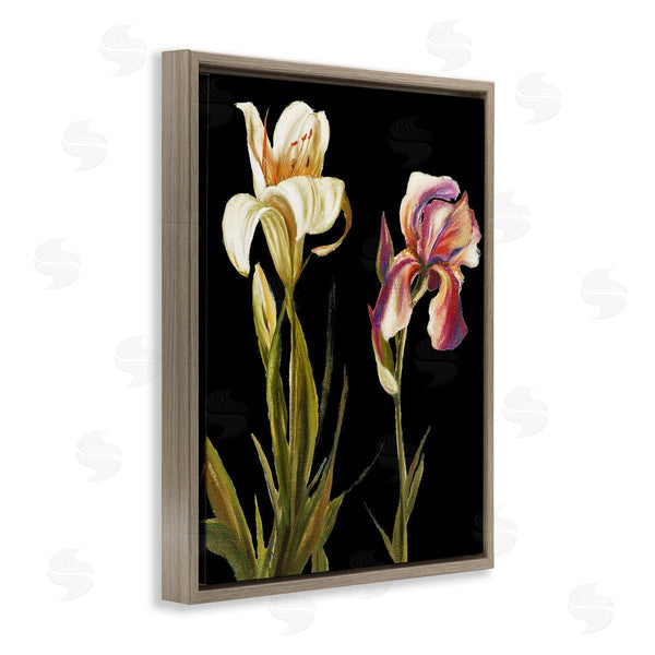 Stupell Industries Patricia Pinto | Alluring Iris Blooms