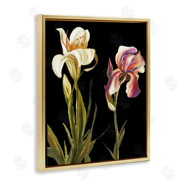 Stupell Industries Patricia Pinto | Alluring Iris Blooms