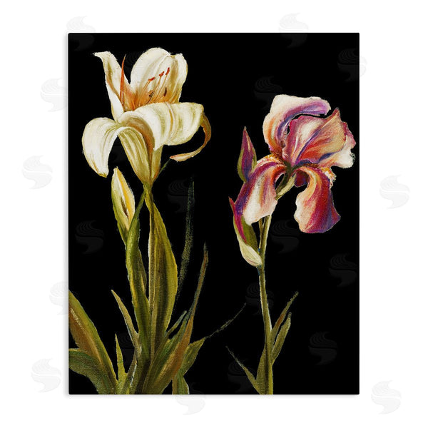 stupell industries Patricia Pinto | Alluring Iris Blooms