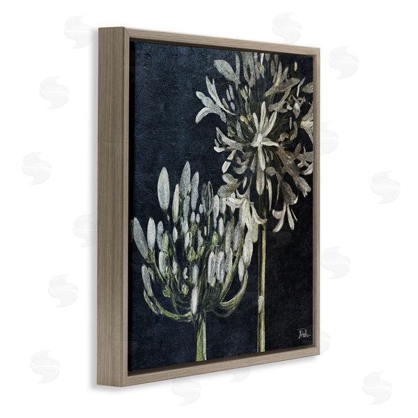 Stupell Industries Patricia Pinto | Blooming White Herbs