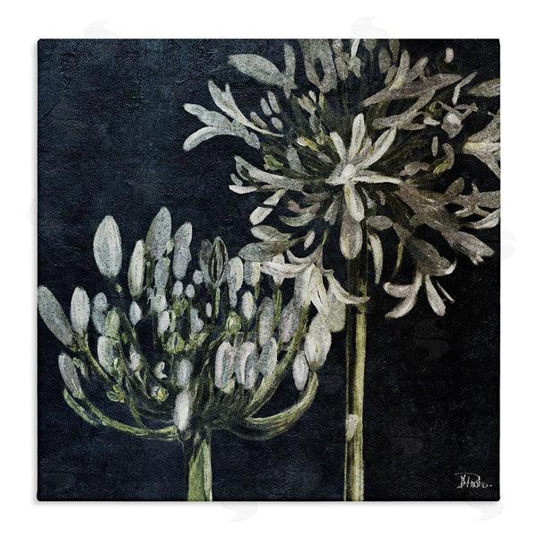 stupell industries Patricia Pinto | Blooming White Herbs