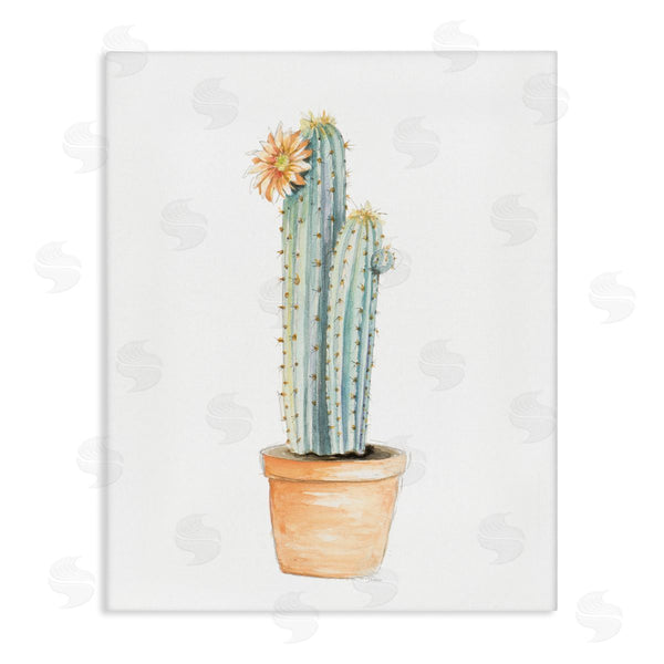 stupell industries Patricia Pinto | Flowering Cactus Pop Minimal Southwestern Tones Wall Art
