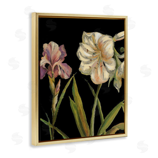 Stupell Industries Patricia Pinto | Iris Flowers On Black