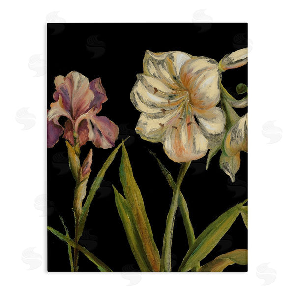 stupell industries Patricia Pinto | Iris Flowers on Black