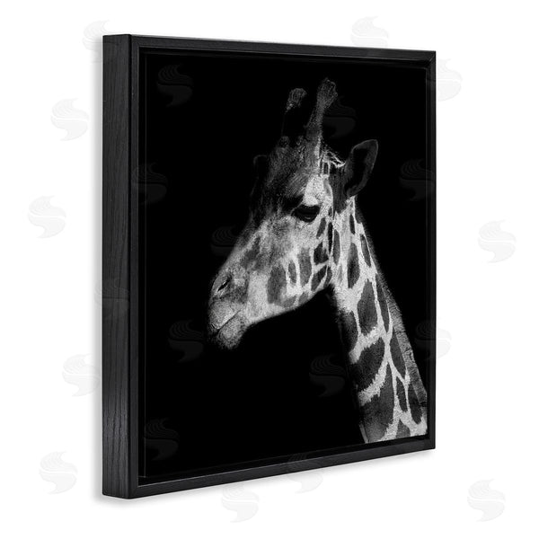 Stupell Industries Patricia Pinto | Jungle Giraffe Portrait Wall Art