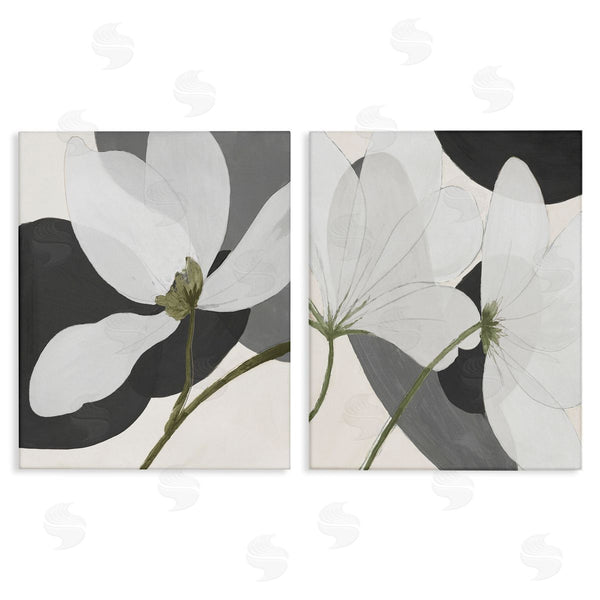 stupell industries Patricia Pinto | Large White Petal Drawing Wall Art