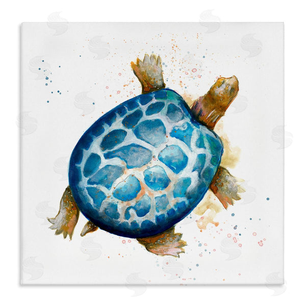 stupell industries Patricia Pinto | Modern Speckled Turtle