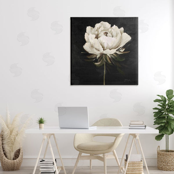 Stupell Industries Patricia Pinto | Pretty Delicate Bloom On Black Wall Art