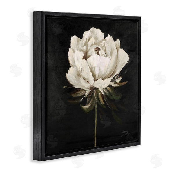 Stupell Industries Patricia Pinto | Pretty Delicate Bloom On Black Wall Art