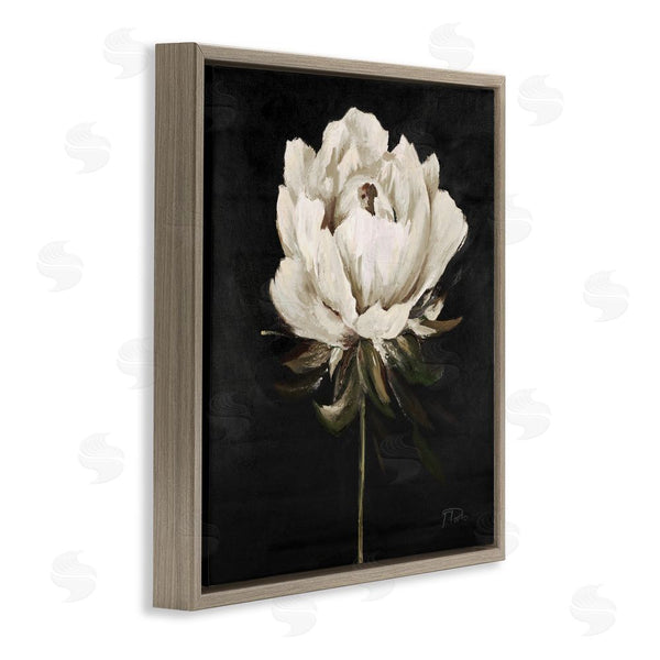 Stupell Industries Patricia Pinto | Pretty Delicate Bloom On Black Wall Art