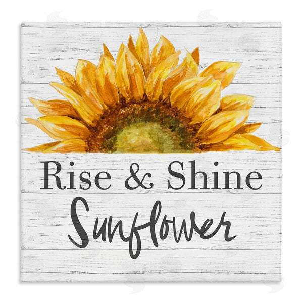 stupell industries Patricia Pinto | Rise and Shine Sunflower