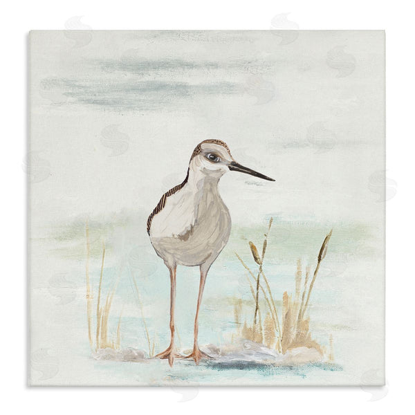 stupell industries Patricia Pinto | Sandpiper Bird Beach Grass Sprigs Wall Art