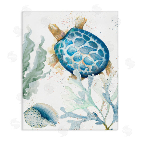 stupell industries Patricia Pinto | Speckled Turtle and Coral