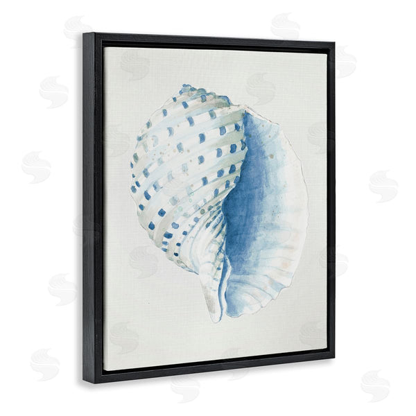 Stupell Industries Patricia Pinto | Spotted Conch Shell Wall Art