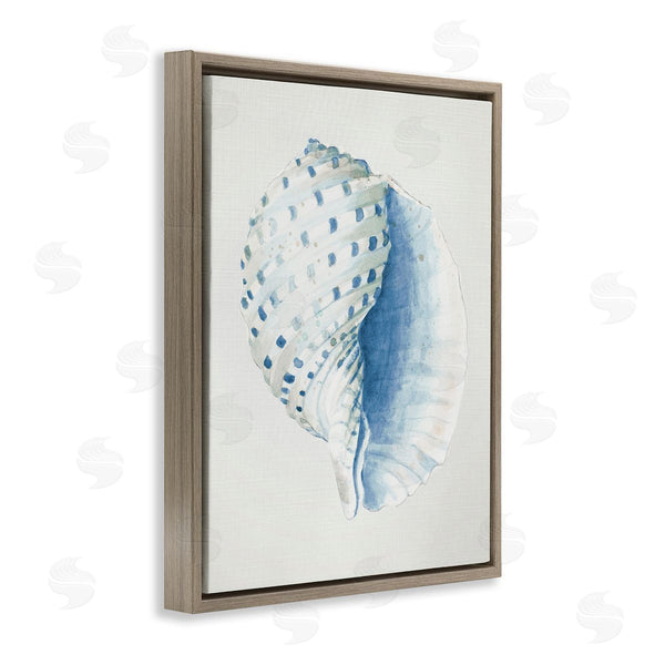 Stupell Industries Patricia Pinto | Spotted Conch Shell Wall Art