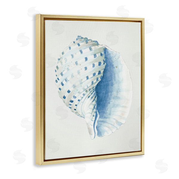 Stupell Industries Patricia Pinto | Spotted Conch Shell Wall Art