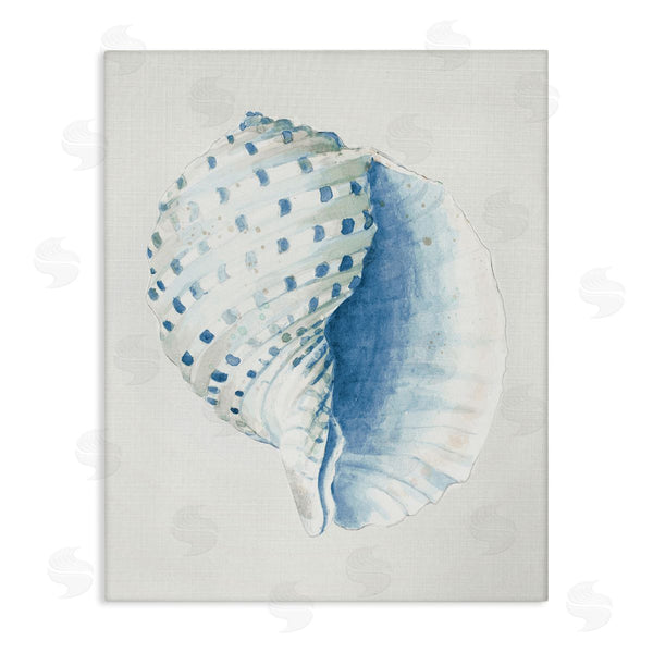 stupell industries Patricia Pinto | Spotted Conch Shell Wall Art