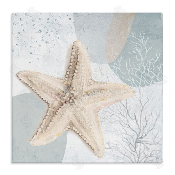 stupell industries Patricia Pinto | Starfish over Circle Pattern