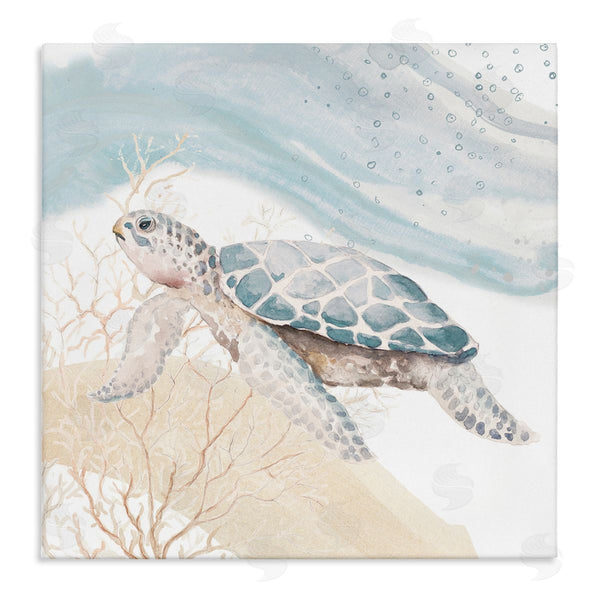 stupell industries Patricia Pinto | Swimming Aquatic Turtle