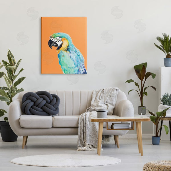 Stupell Industries Patricia Pinto | Tropical Macaw Parrot Portrait Bold Rainforest Bird Wall Art