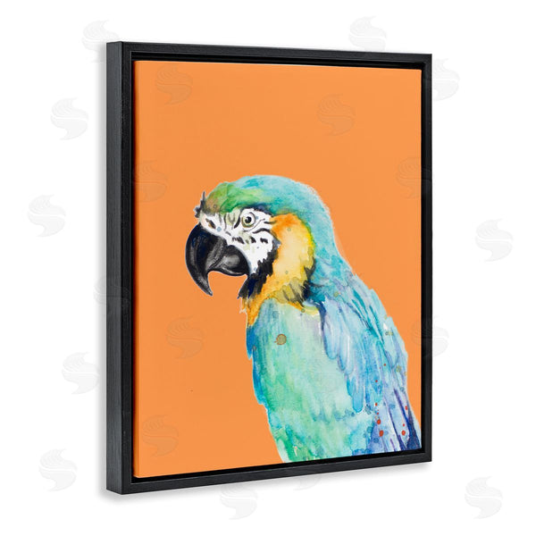 Stupell Industries Patricia Pinto | Tropical Macaw Parrot Portrait Bold Rainforest Bird Wall Art