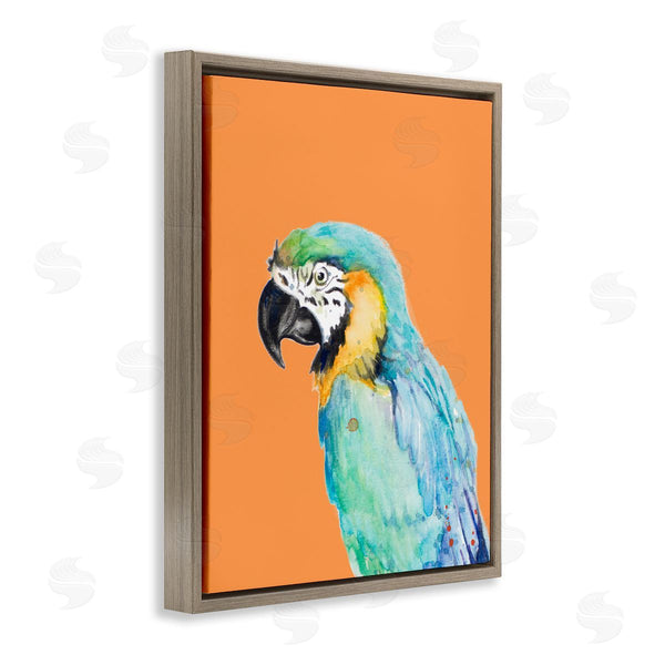 Stupell Industries Patricia Pinto | Tropical Macaw Parrot Portrait Bold Rainforest Bird Wall Art