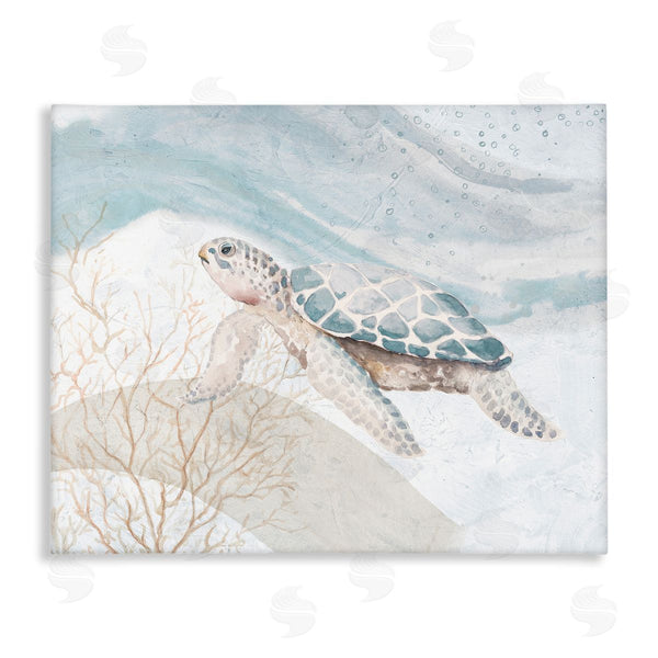 stupell industries Patricia Pinto | Turtle on Brushed Pattern