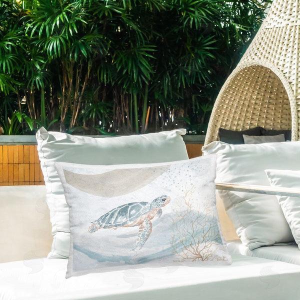Stupell Industries Patricia Pinto | Turtle Watercolor Style