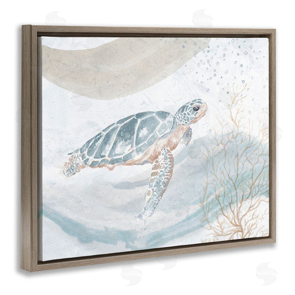 Stupell Industries Patricia Pinto | Turtle Watercolor Style