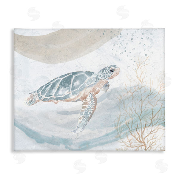 stupell industries Patricia Pinto | Turtle Watercolor Style