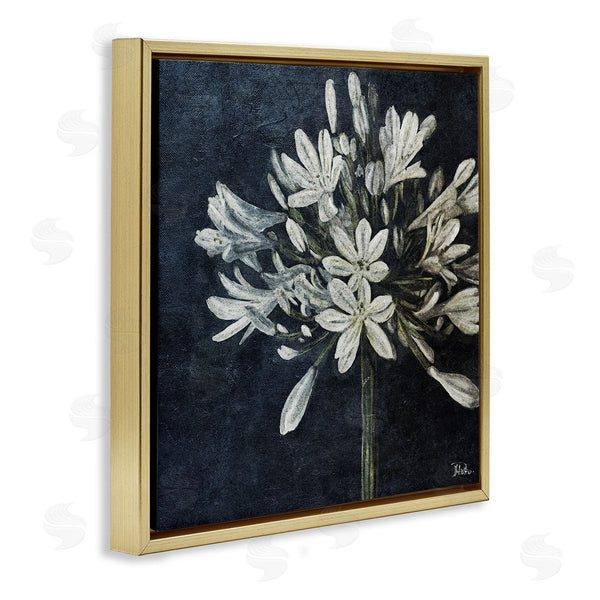 Stupell Industries Patricia Pinto | White Herb Blooms