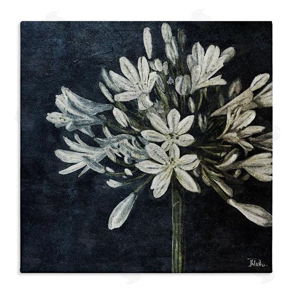 stupell industries Patricia Pinto | White Herb Blooms
