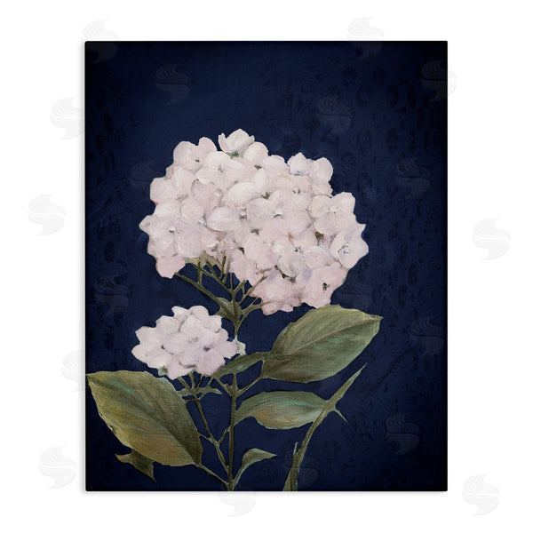 stupell industries Patricia Pinto | White Hydrangea Blossom