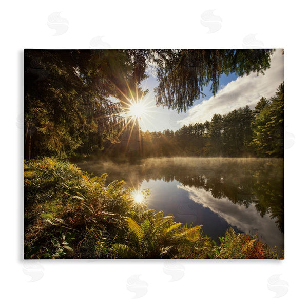 stupell industries Patrick Zephyr | Lake Nature Landscape Wall Art