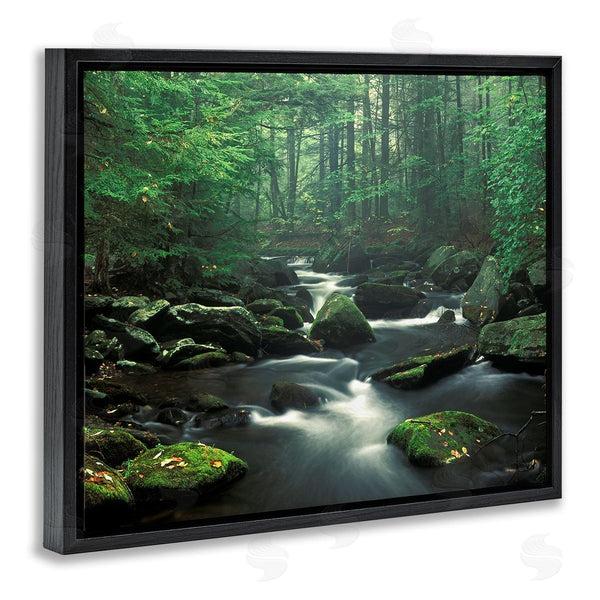 Stupell Industries Patrick Zephyr | Woodland Creek Landscape Wall Art
