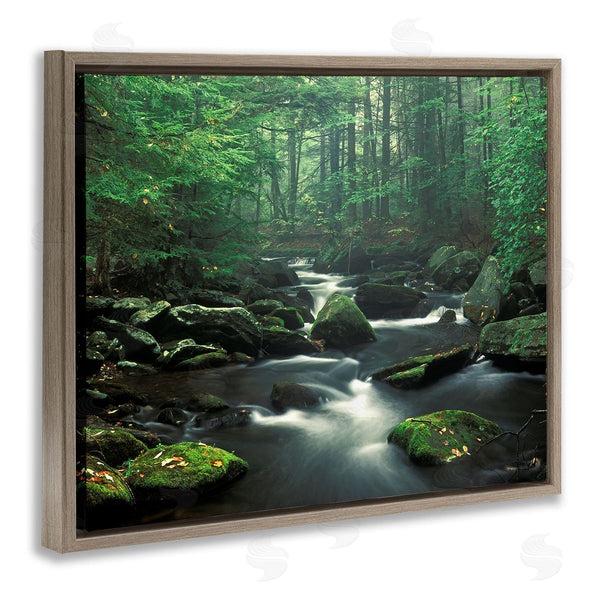 Stupell Industries Patrick Zephyr | Woodland Creek Landscape Wall Art