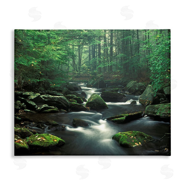 stupell industries Patrick Zephyr | Woodland Creek Landscape Wall Art