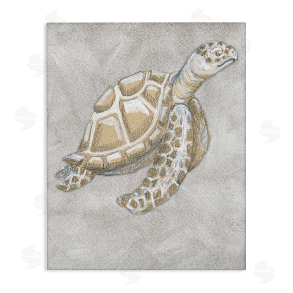 stupell industries Patti Bishop | Grey Turtle Drawing