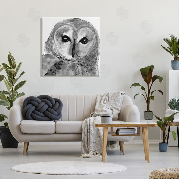 Stupell Industries Patti Mann | Close Up Barn Owl Bird Gazing Ink Watercolor Wall Art